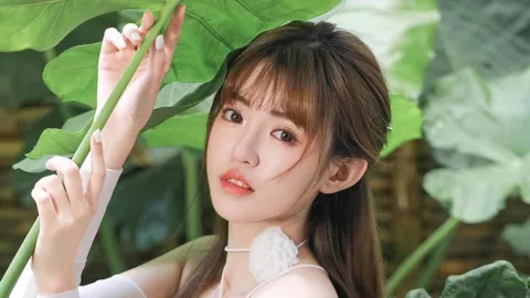 泰山连日降雨大风